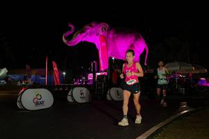 BIB: 
                            <button type="button" onclick="openModal(26543138)" class="btn btn-primary btn-sm float-right btn-popup" data-toggle="modal" data-target=".modal-high-quality">
                        <i class="fas fa-shopping-cart"></i> Add to Cart
                    </button>
                                            <button type="button" onclick="isThisMe(26543138, true)" class="btn btn-success btn-sm float-right btn-popup btn-isme hidden" data-toggle="tooltip" data-placement="bottom" title="นี่คือรูปของคุณใช่ไหม คลิกที่นี่เพื่อเอาเข้าอัลบั้ม">
                        <i class="fas fa-plus"></i> Add to album
                    </button>
                    <button type="button" onclick="isThisMe(26543138, false)" class="btn btn-warning btn-sm float-right btn-popup btn-isnotme hidden">
                        <i class="fas fa-ban"></i> Remove from album
                    </button>